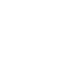 ce logo Smyrna