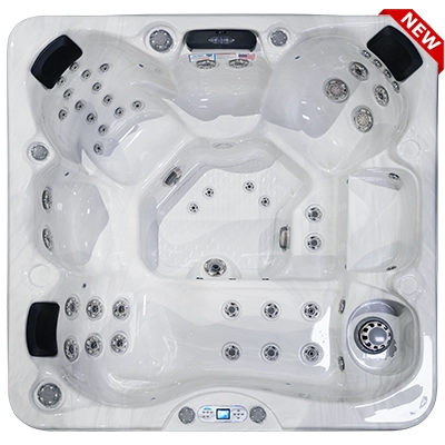 Costa EC-749L hot tubs for sale in Smyrna