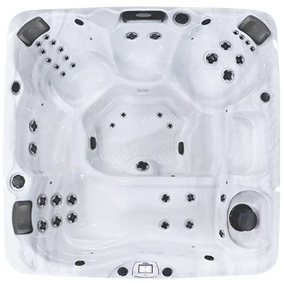Avalon-X EC-840LX hot tubs for sale in Smyrna