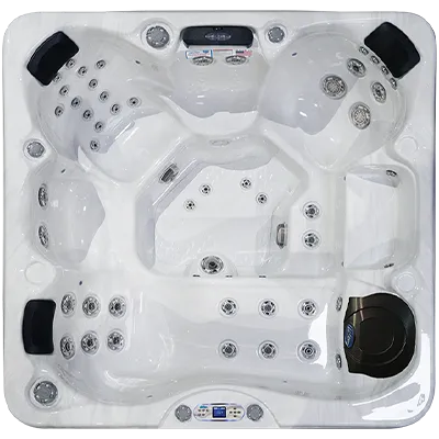 Avalon EC-849L hot tubs for sale in Smyrna