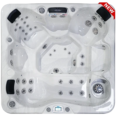 Avalon-X EC-849LX hot tubs for sale in Smyrna